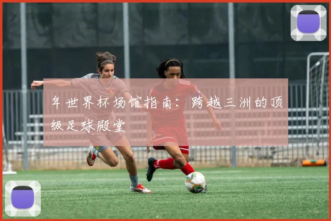 年世界杯场馆指南：跨越三洲的顶级足球殿堂