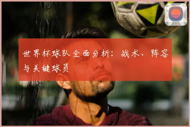 世界杯球队全面分析:战术、阵容与关键球员